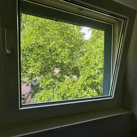 Vastus Homes Homestay